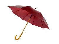 Зонт-трость "Радуга", цвет: бордовый