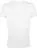 Футболка мужская Regent Fit 150, белая