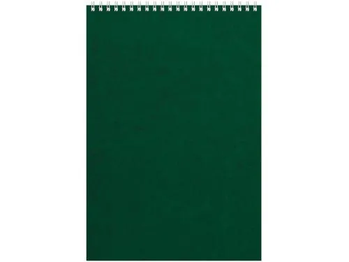 Бизнес - блокнот Альт А4 (198 х 285 мм) Office 60 л., зеленый