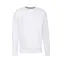 Свитшот без начеса LIGHTWEIGHT SET-IN SWEAT 240, белый