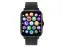 Умные часы CANYON Barberry SW-79, IP 67, BT 5.1, сенсорный дисплей 1.7, черный