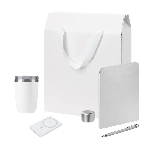 Подарочный набор Велком Пак Премиум (Welcome Pack Premium), серебряный (термокружка, колонка, ежедневник, ручка, ЗУ, коробка-пакет)
