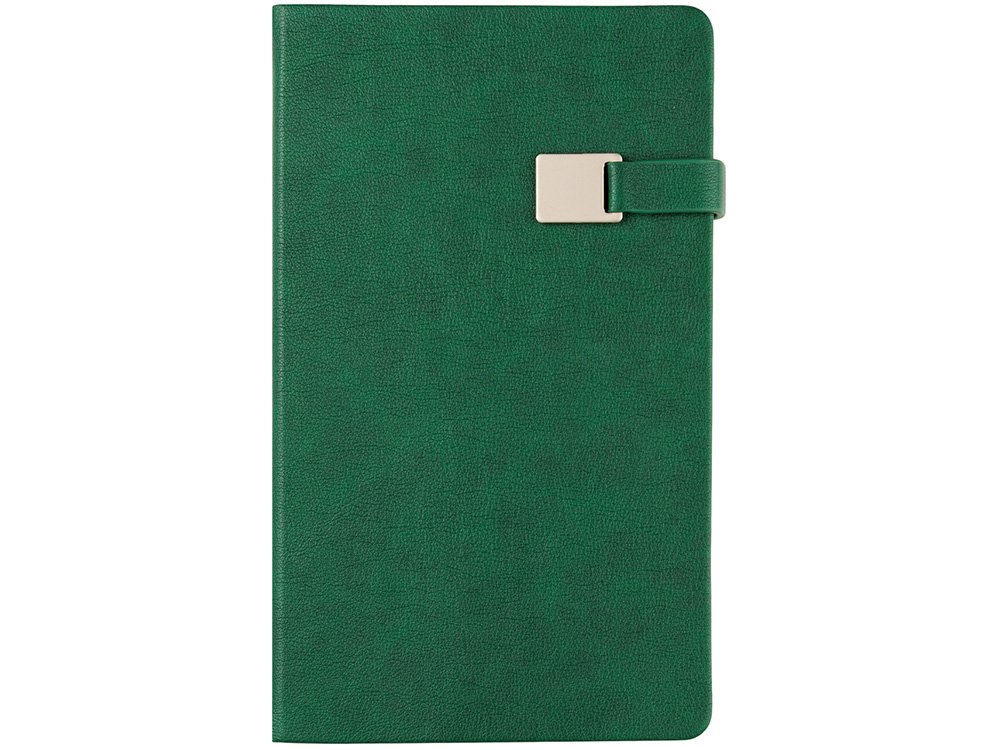 Ежедневник недатированный А5 Premier, зеленый-3