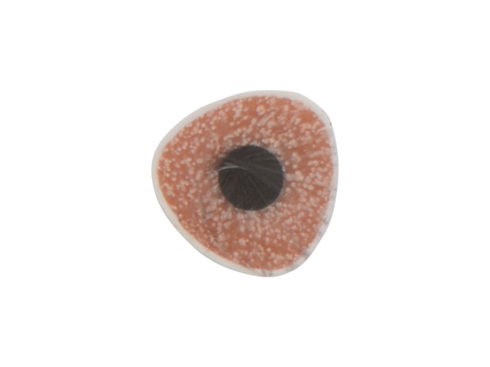 Трехгранный карандаш Conti из переработанных контейнеров, белый-1