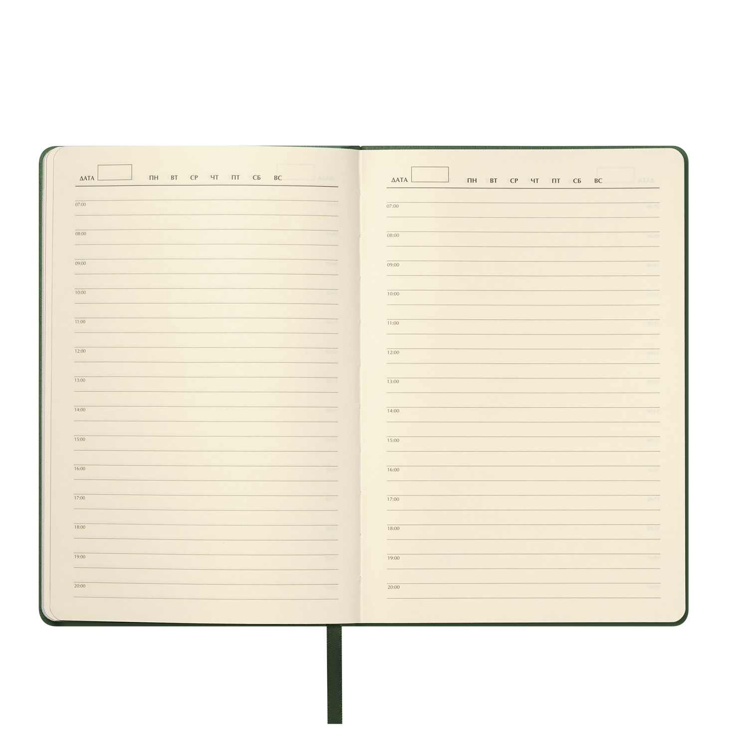 Ежедневник Molto недатированный, зеленый-6