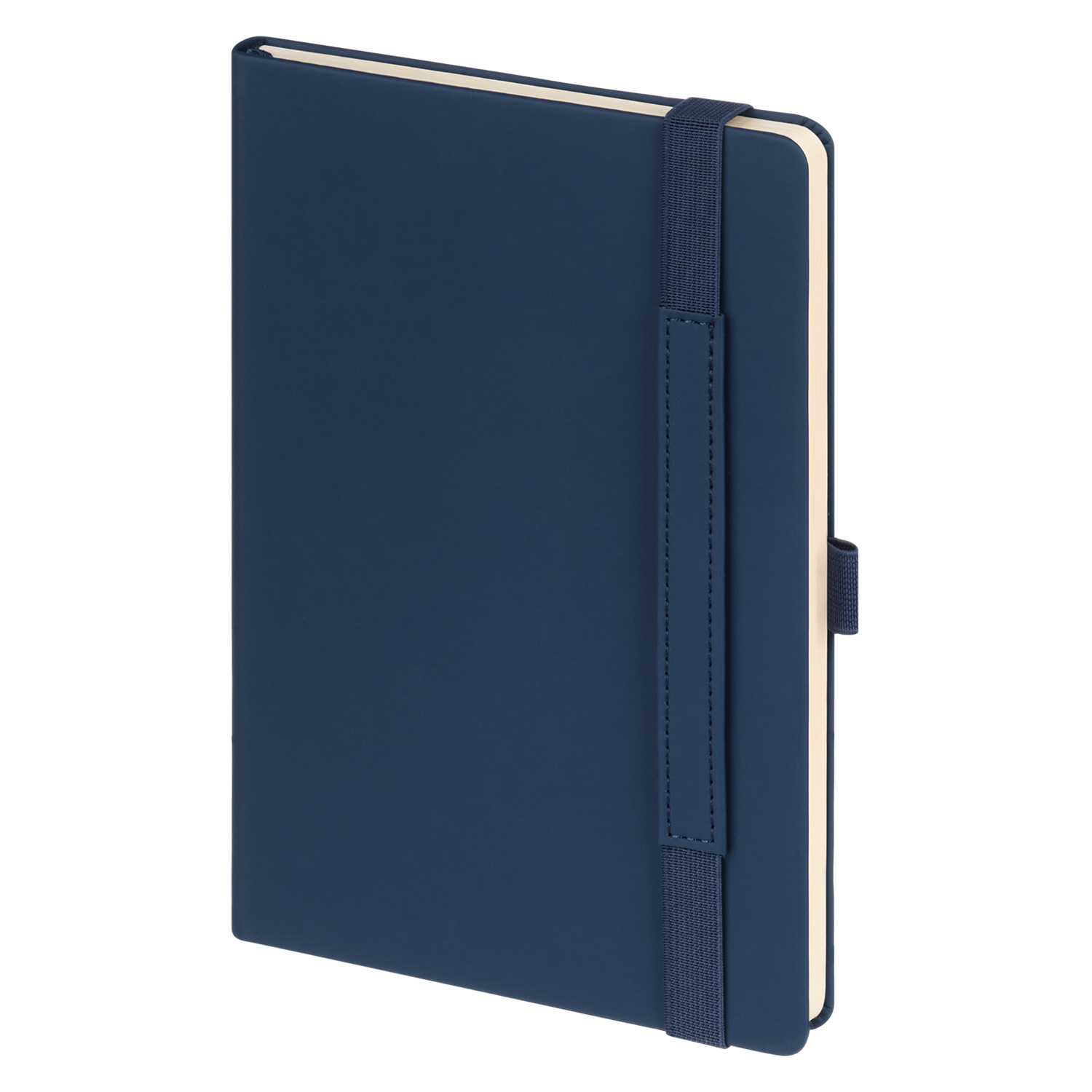 Ежедневник Alpha недатированный, синий/голубой-4