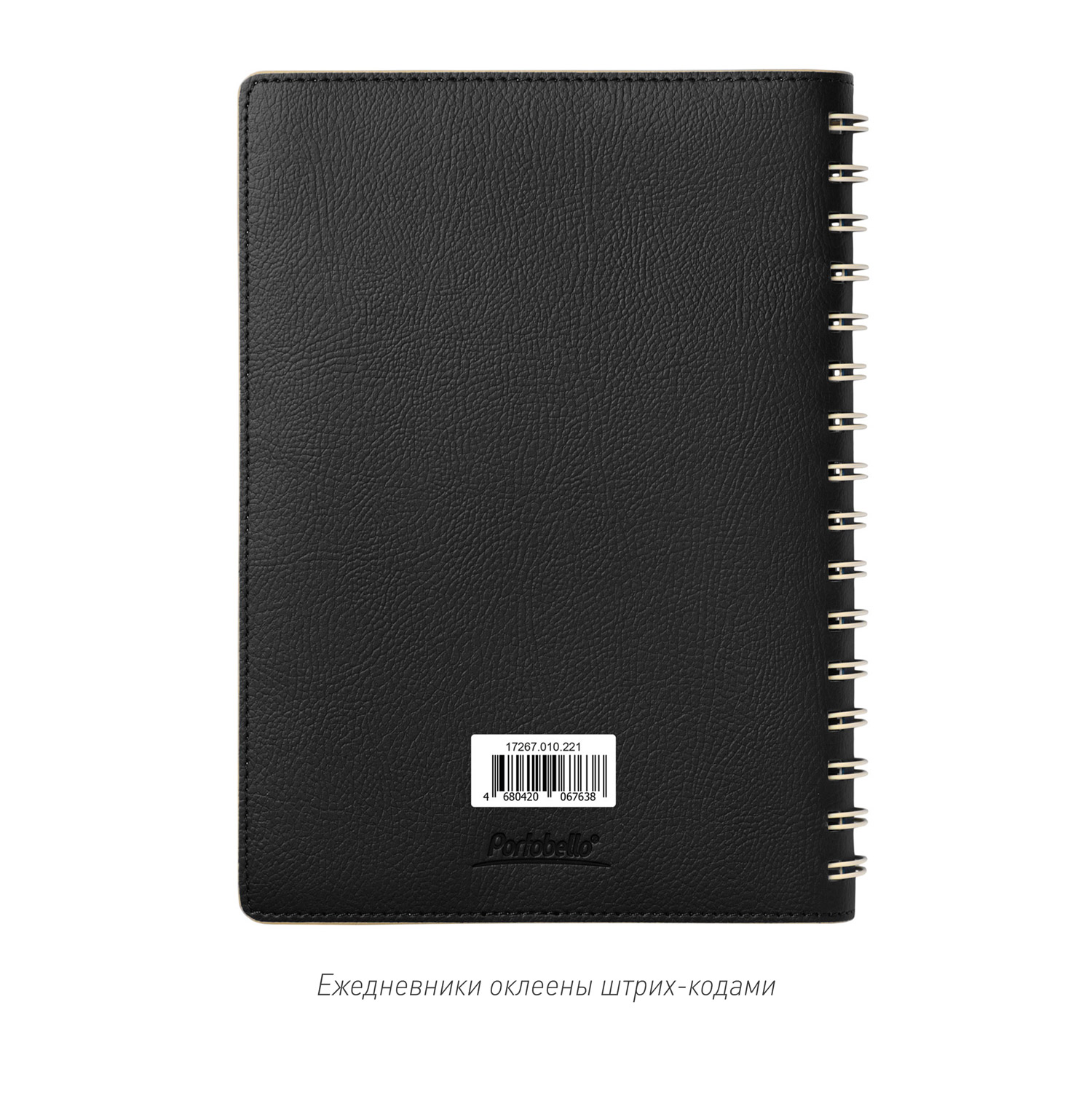 Ежедневник Vista недатированный, черный/бежевый-14