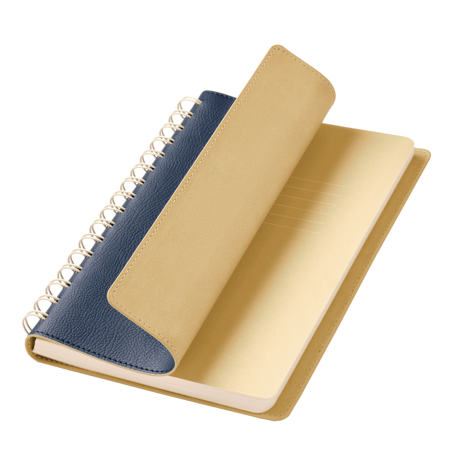 Ежедневник Vista недатированный, синий/бежевый-0