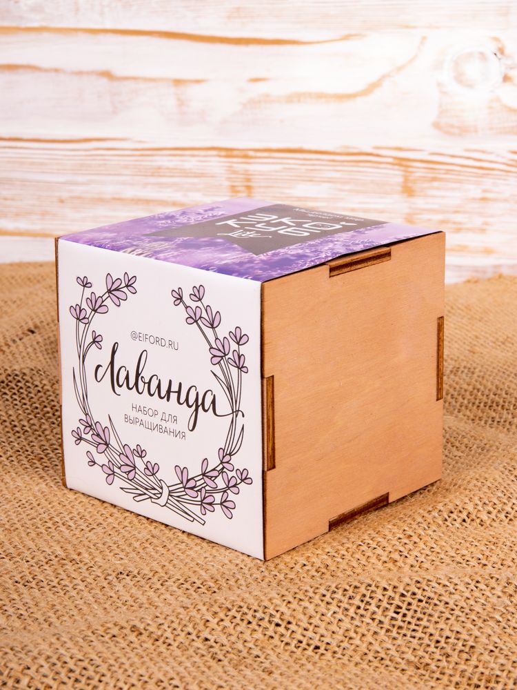 Набор для выращивания «Экокуб Lite», лаванда-4