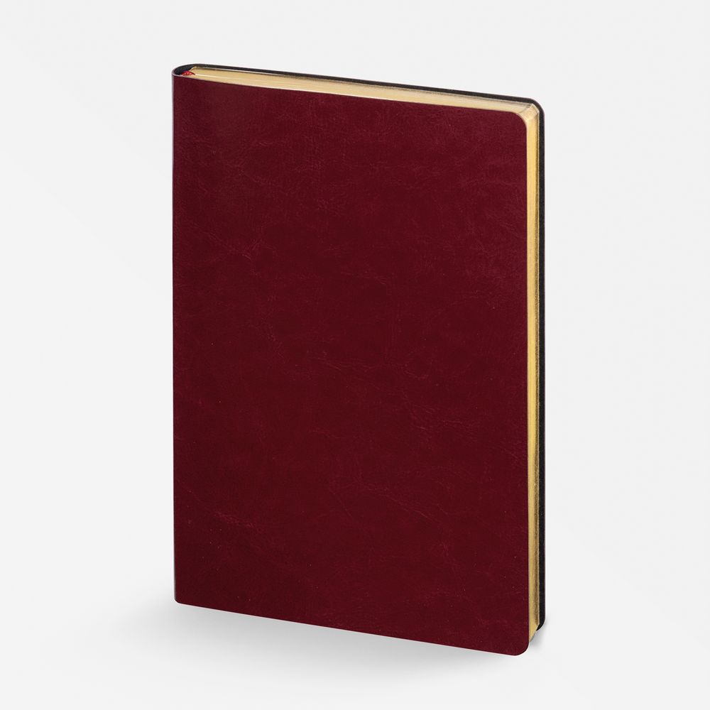 Ежедневник Nebraska Flex, недатированный, бордовый с золотистым-1