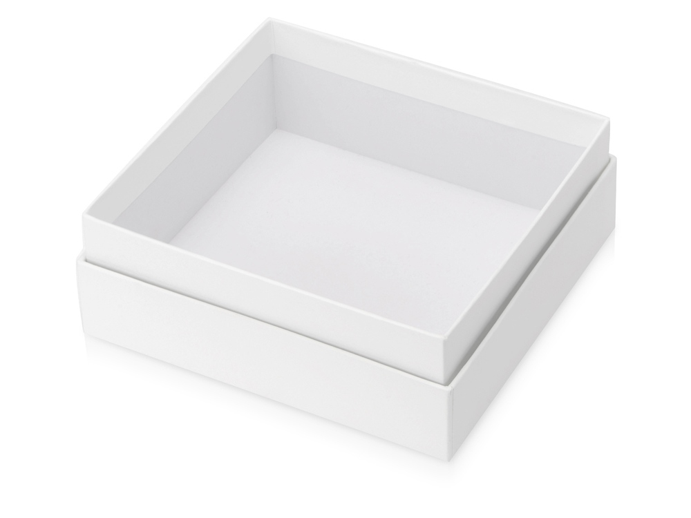 Подарочная коробка с эфалином Obsidian M 167 х 157 х 63, белый-1