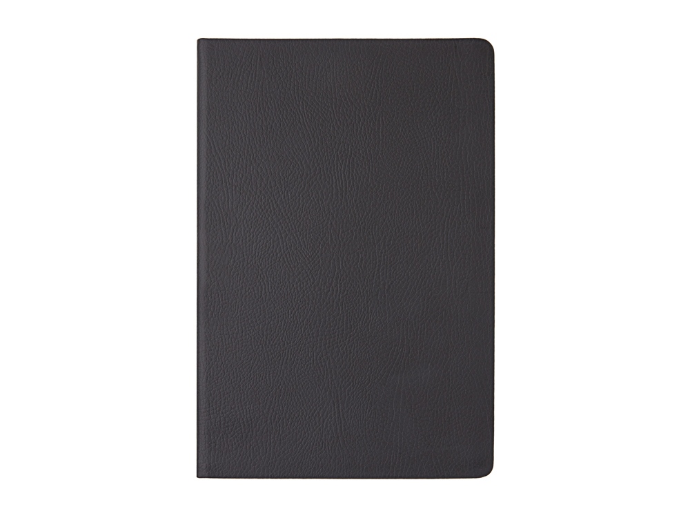 Ежедневник А5 датированный Megapolis Nappa на 2026, черный-3