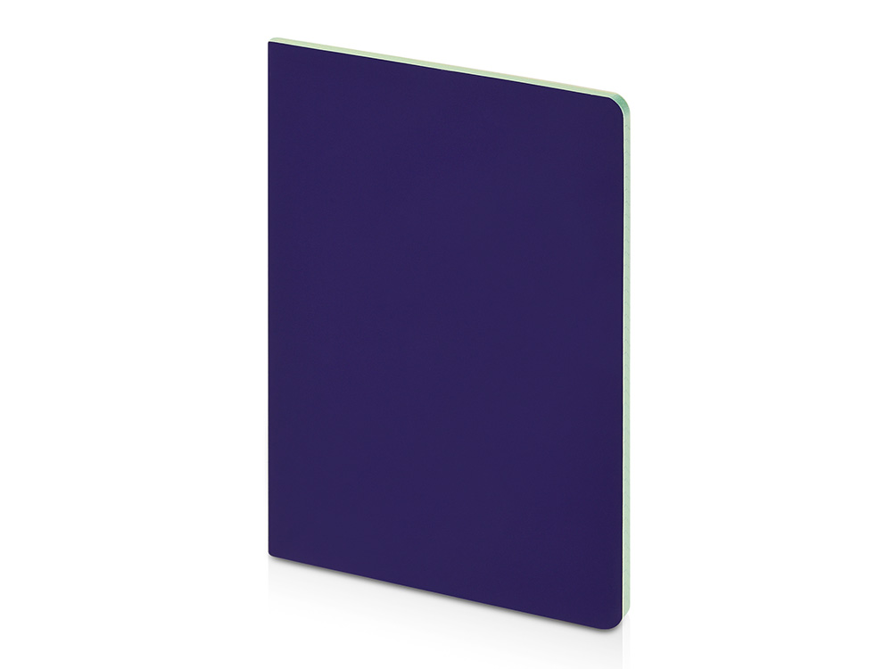 Бизнес-тетрадь А5 Pragmatic Contrast, 40 листов в клетку, фиолетовый с салатовым срезом-0