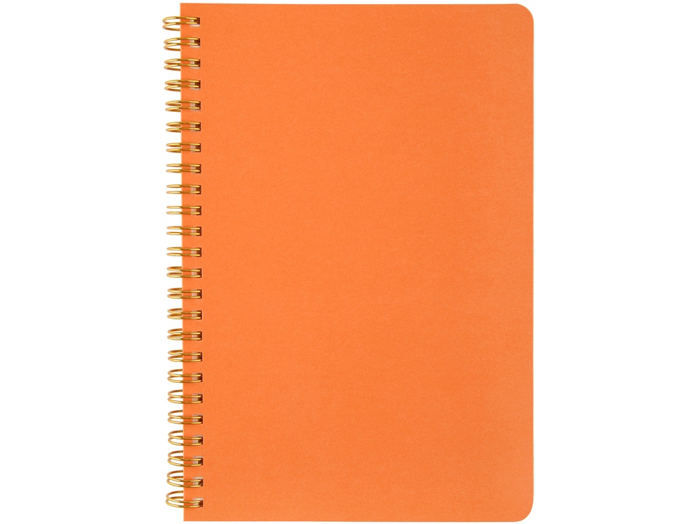 Бизнес тетрадь на гребне А5 Pragmatic, 60 листов в клетку, оранжевый-1