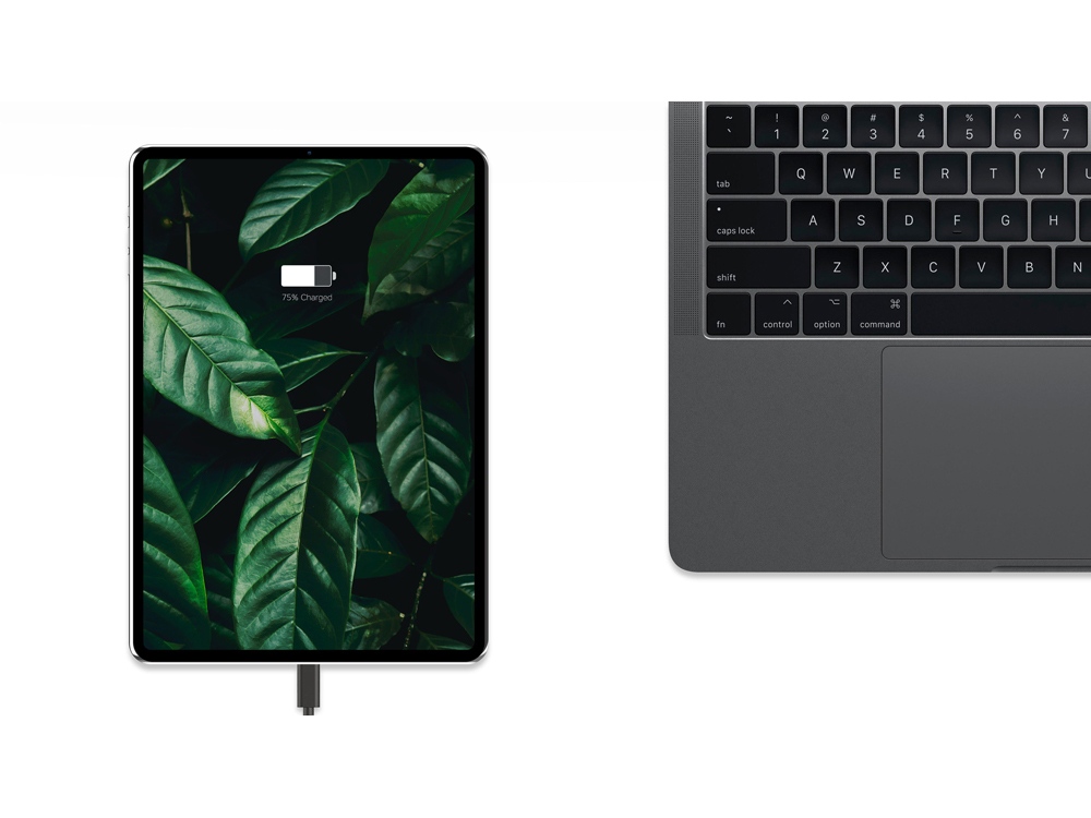 Сетевое зарядное устройство Rombica NEO Z Type-C 60-4