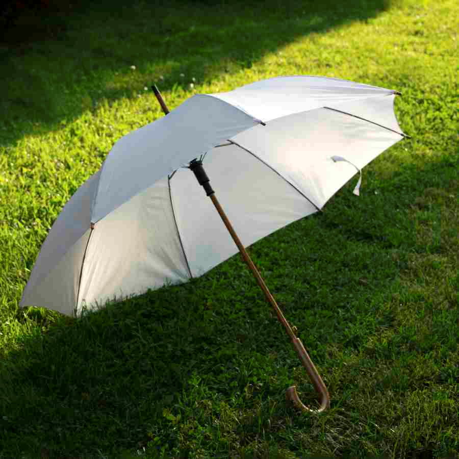 Зонт-трость механический, деревянная ручка, белый-2