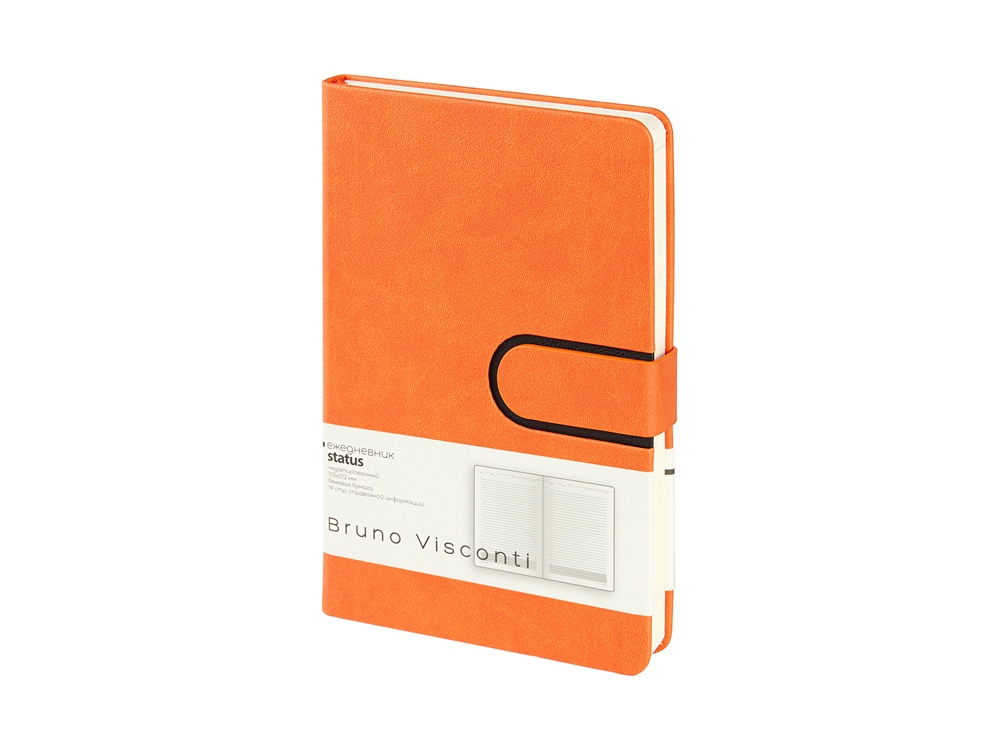 Ежедневник недатированный А5 Status, оранжевый-0