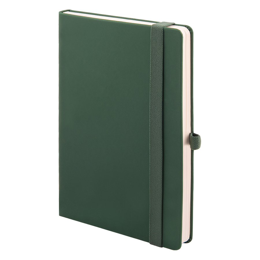 Бизнес-блокнот А5 FLIPPY, формат А5, в линейку, зеленый-0