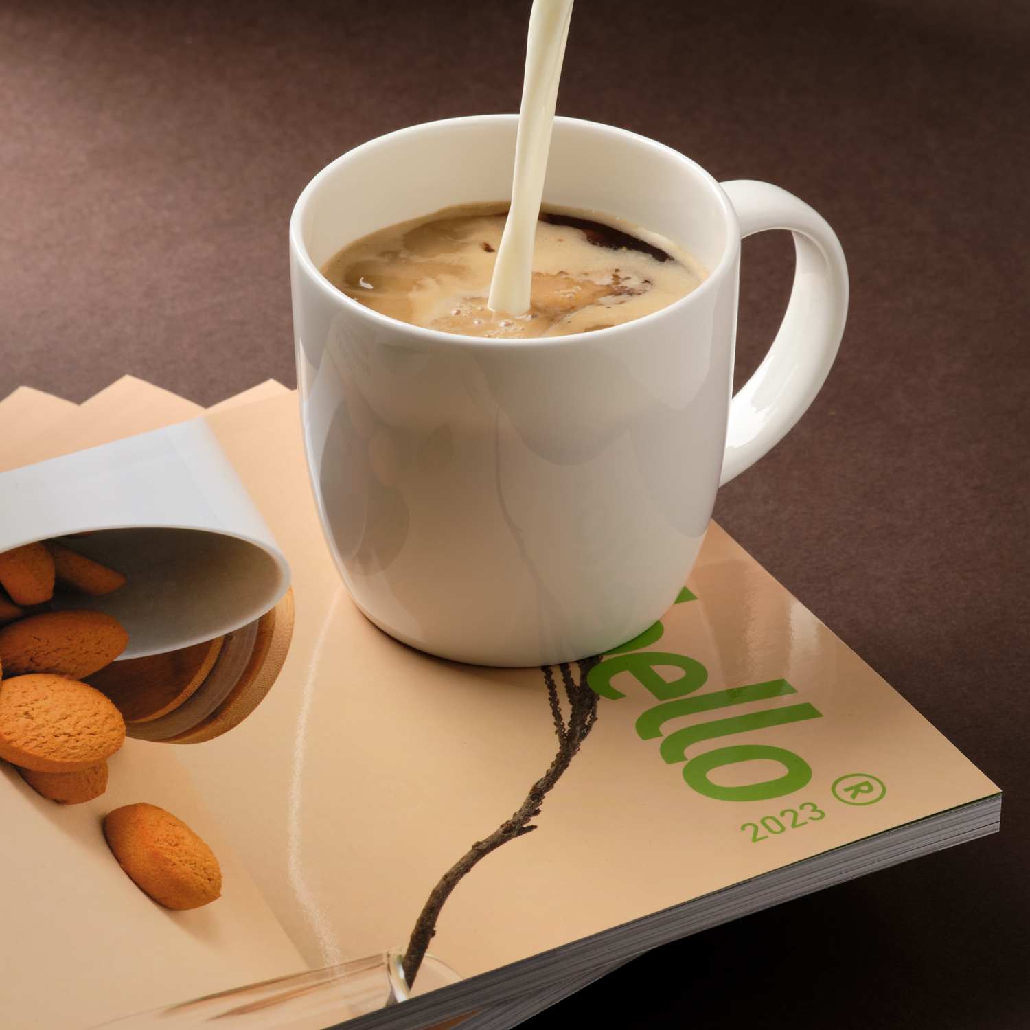 Кружка фарфоровая Dafna-9