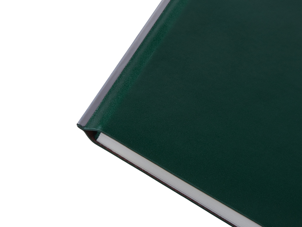 Блокнот А5 Scribe, гибкая обложка, 96 листов 80 гр/м2, зеленый-5