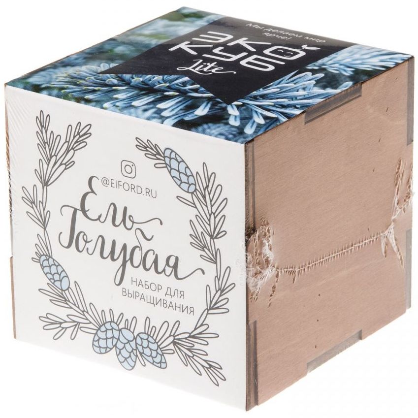 Набор для выращивания «Экокуб Lite», ель голубая-4