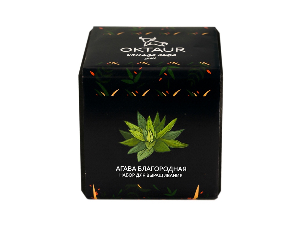 Набор для выращивания Small village cube Агава Благородная-1