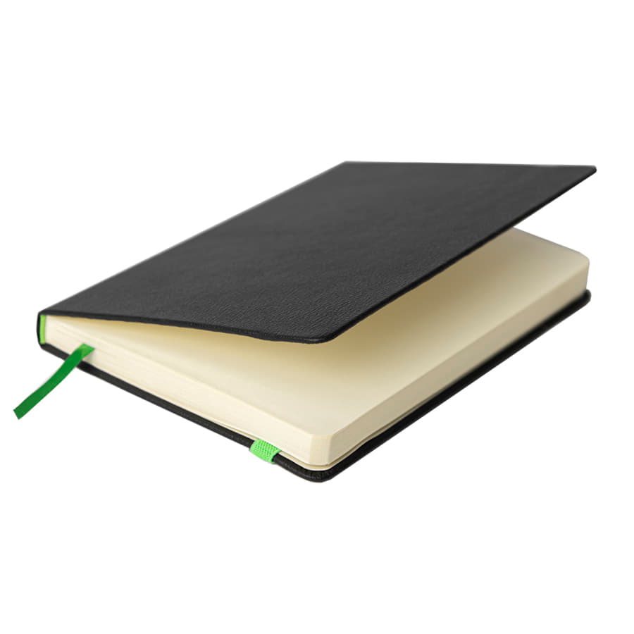 Ежедневник недатированный Ray, формат А5, в клетку, черный, зеленый-6