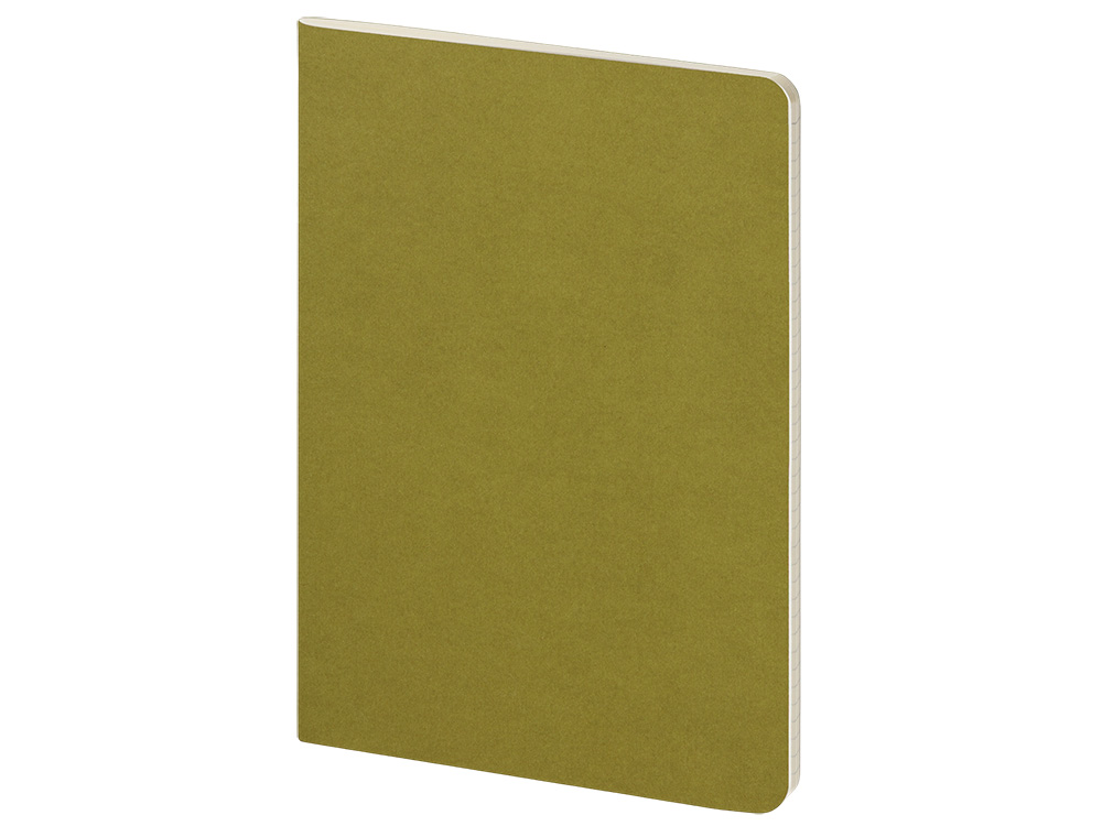 Бизнес тетрадь А5 Pragmatic, 40 листов в клетку, зеленый хаки-0