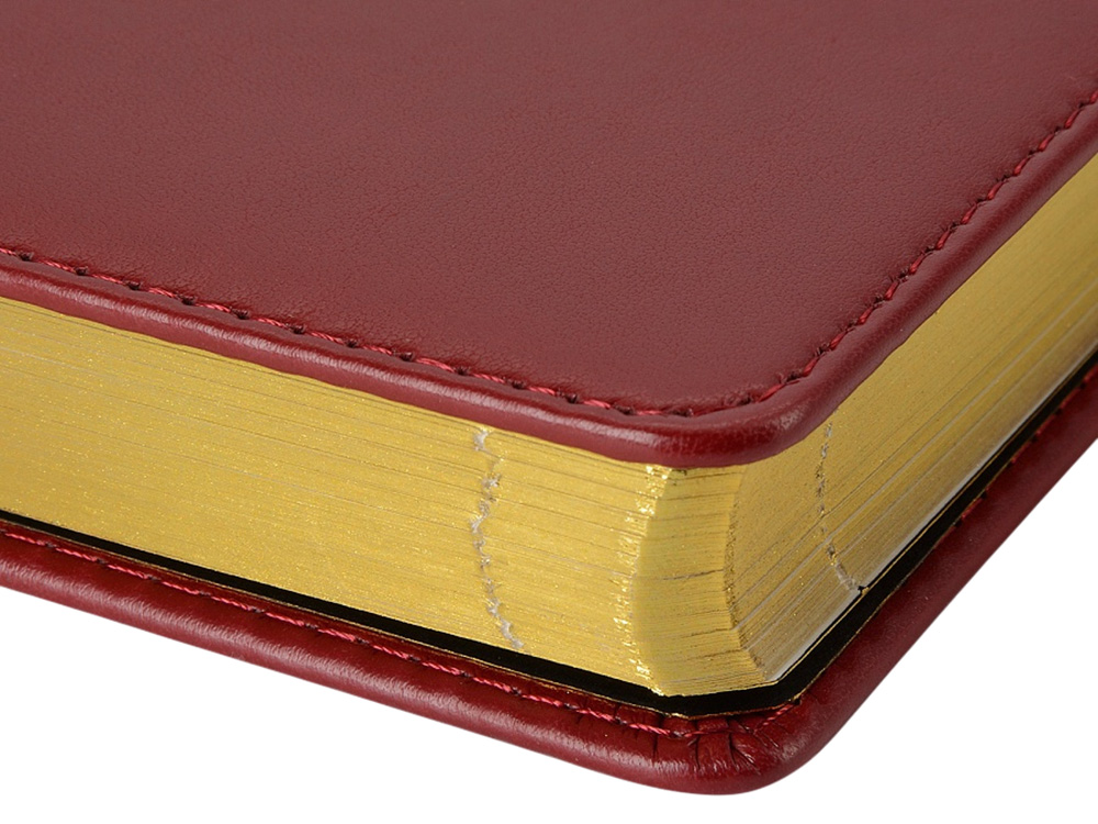 Ежедневник недатированный А5 Parliament, бордовый-2