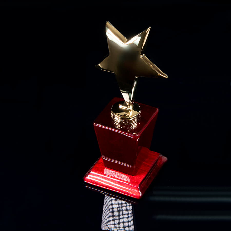 Стела  "Звезда", желтый, коричневый-4