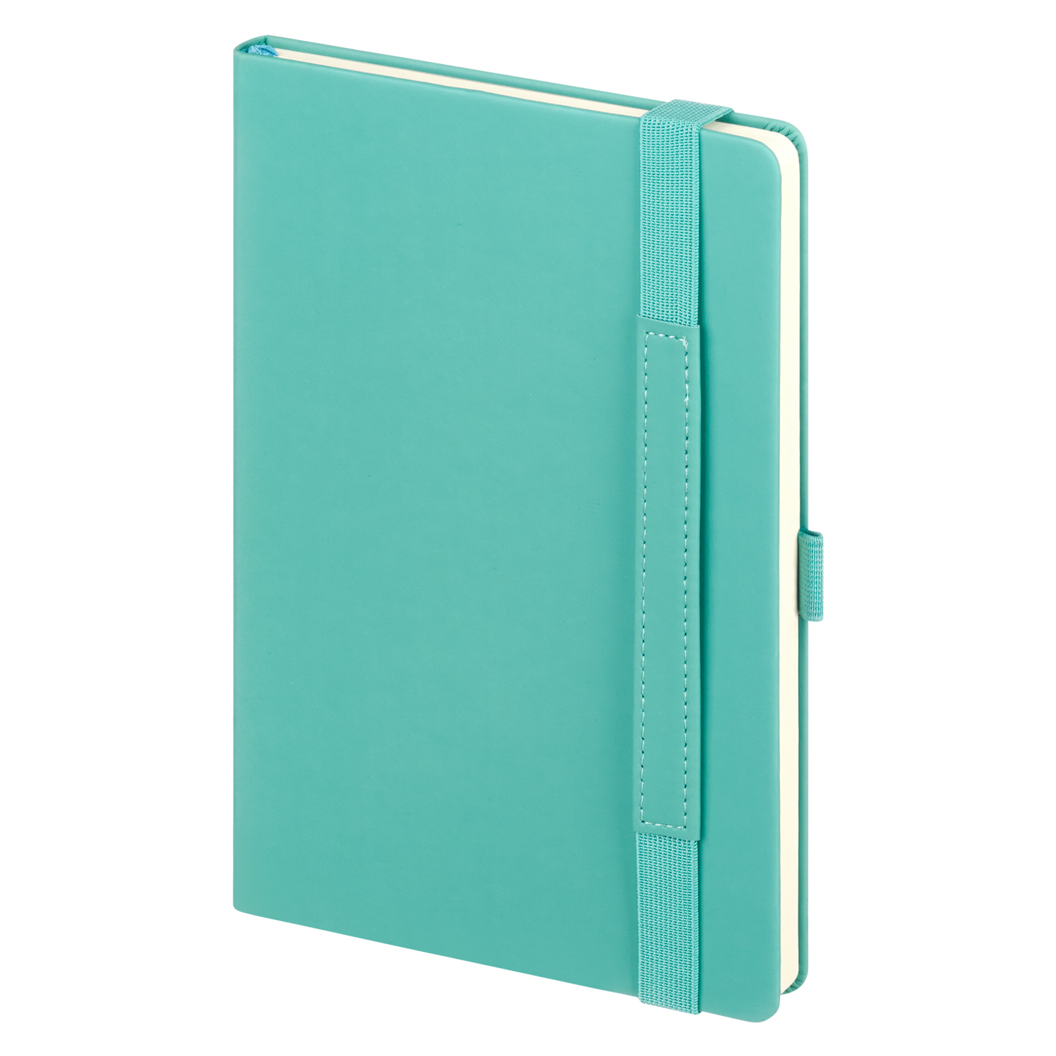 Ежедневник Alpha недатированный, бирюзовый/серый-4