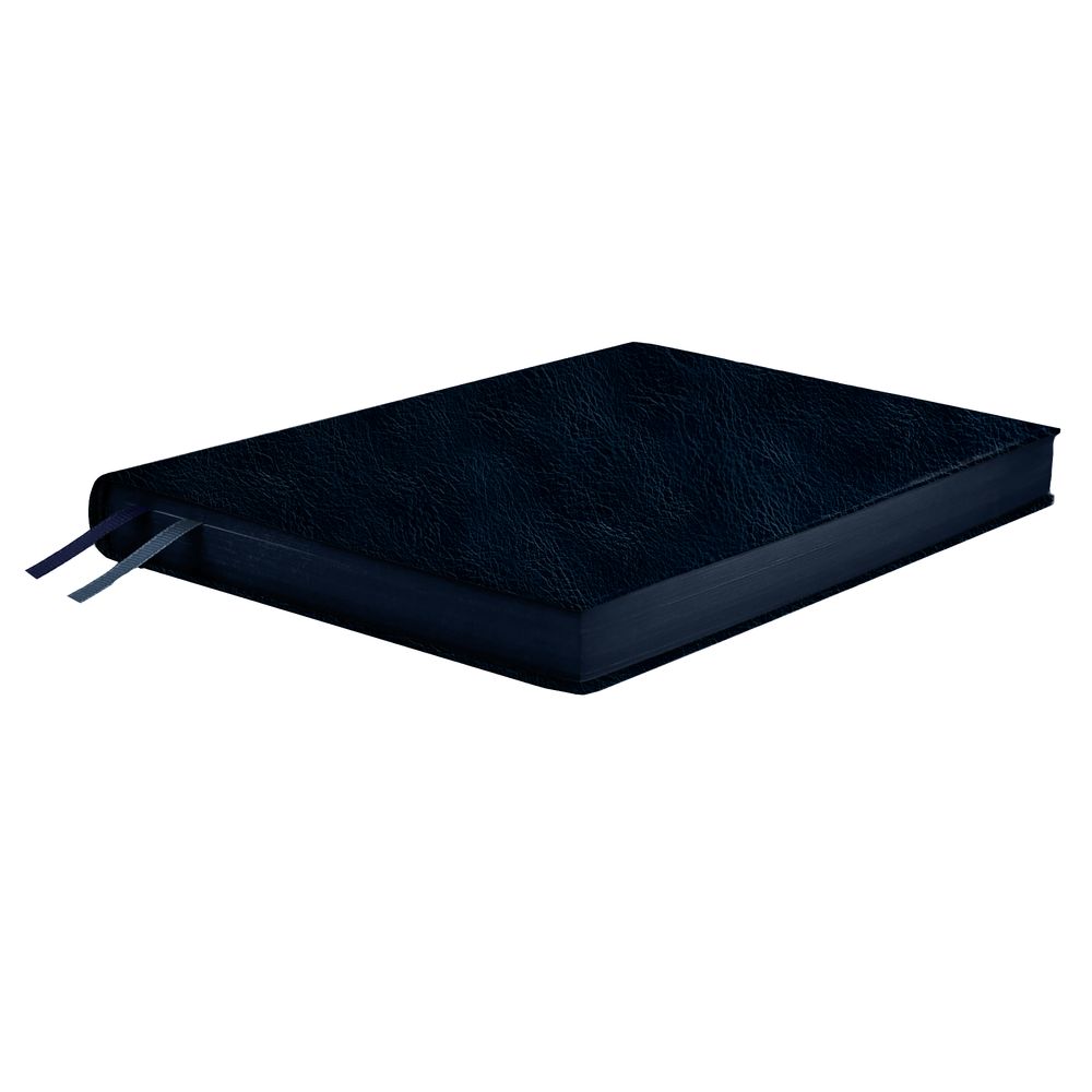 Ежедневник Merida, датированный, синий-2