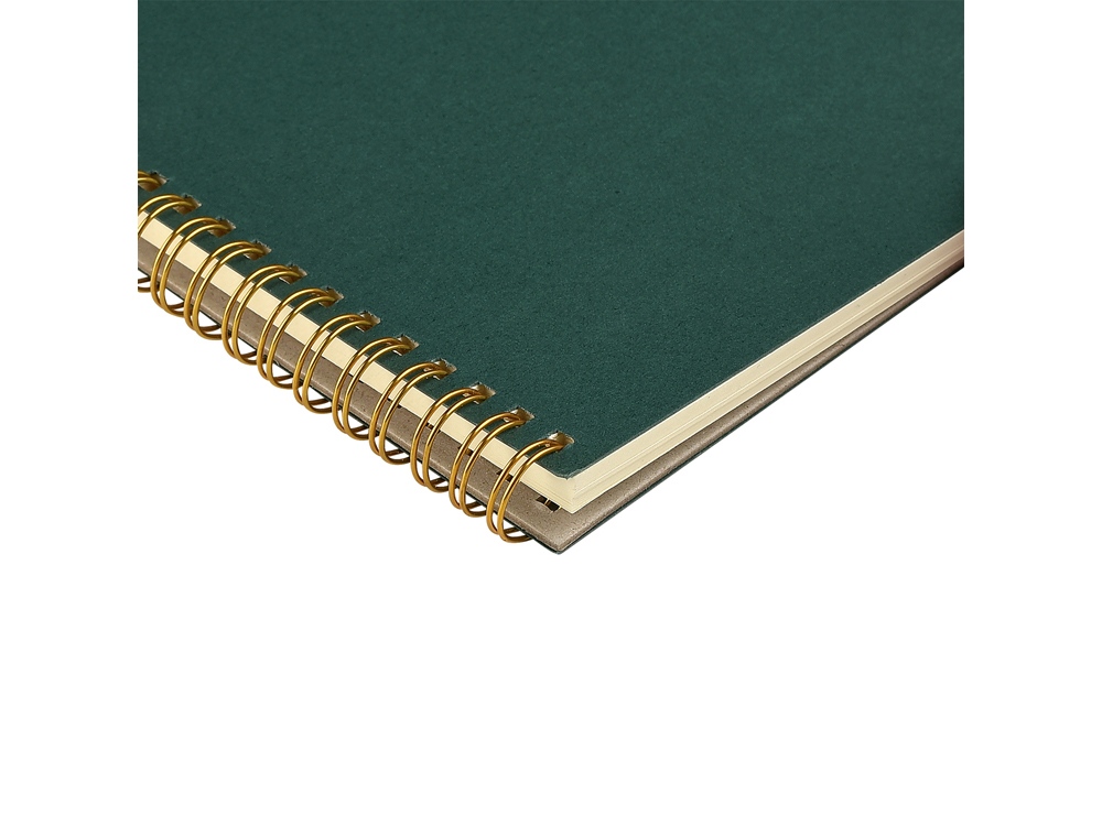 Бизнес тетрадь на гребне А5 Pragmatic, 60 листов в клетку, зеленый-2