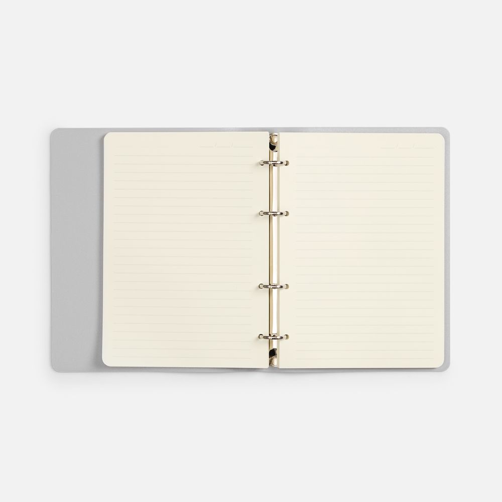 Ежедневник Ringo, недатированный, серебристый-5