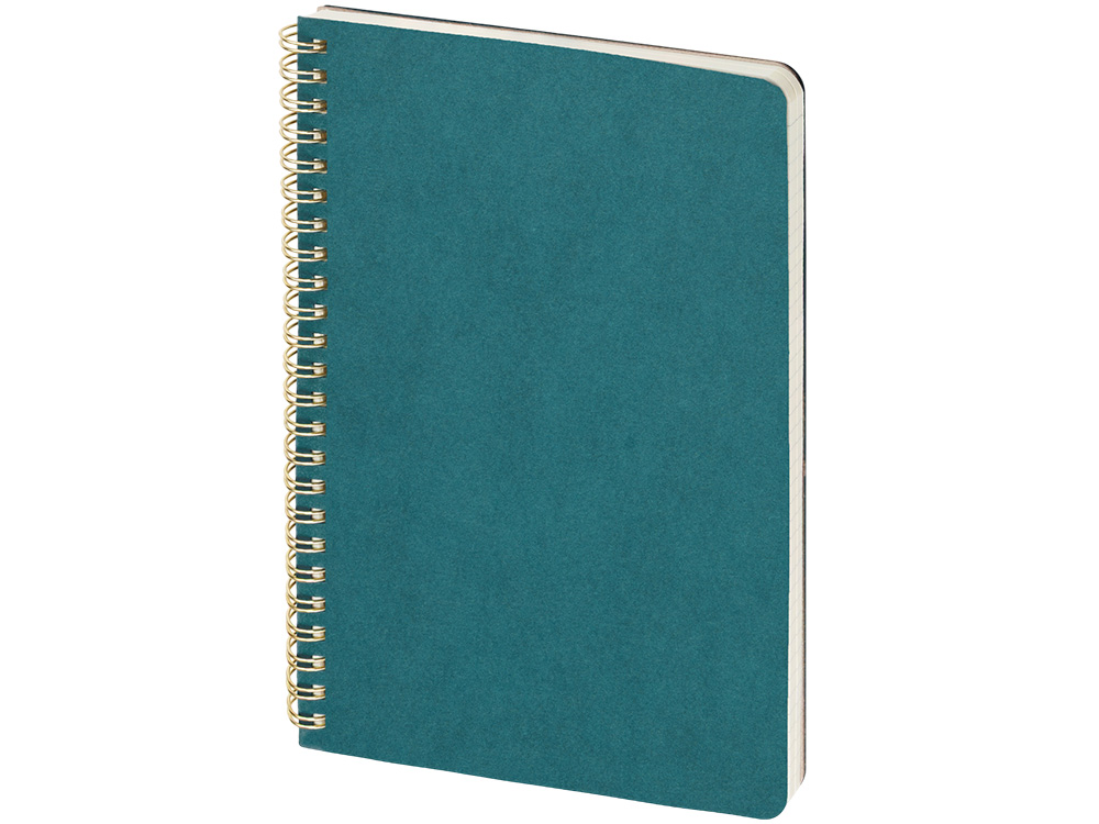 Бизнес тетрадь на гребне А5 Pragmatic, 60 листов в клетку, карибский синий-0