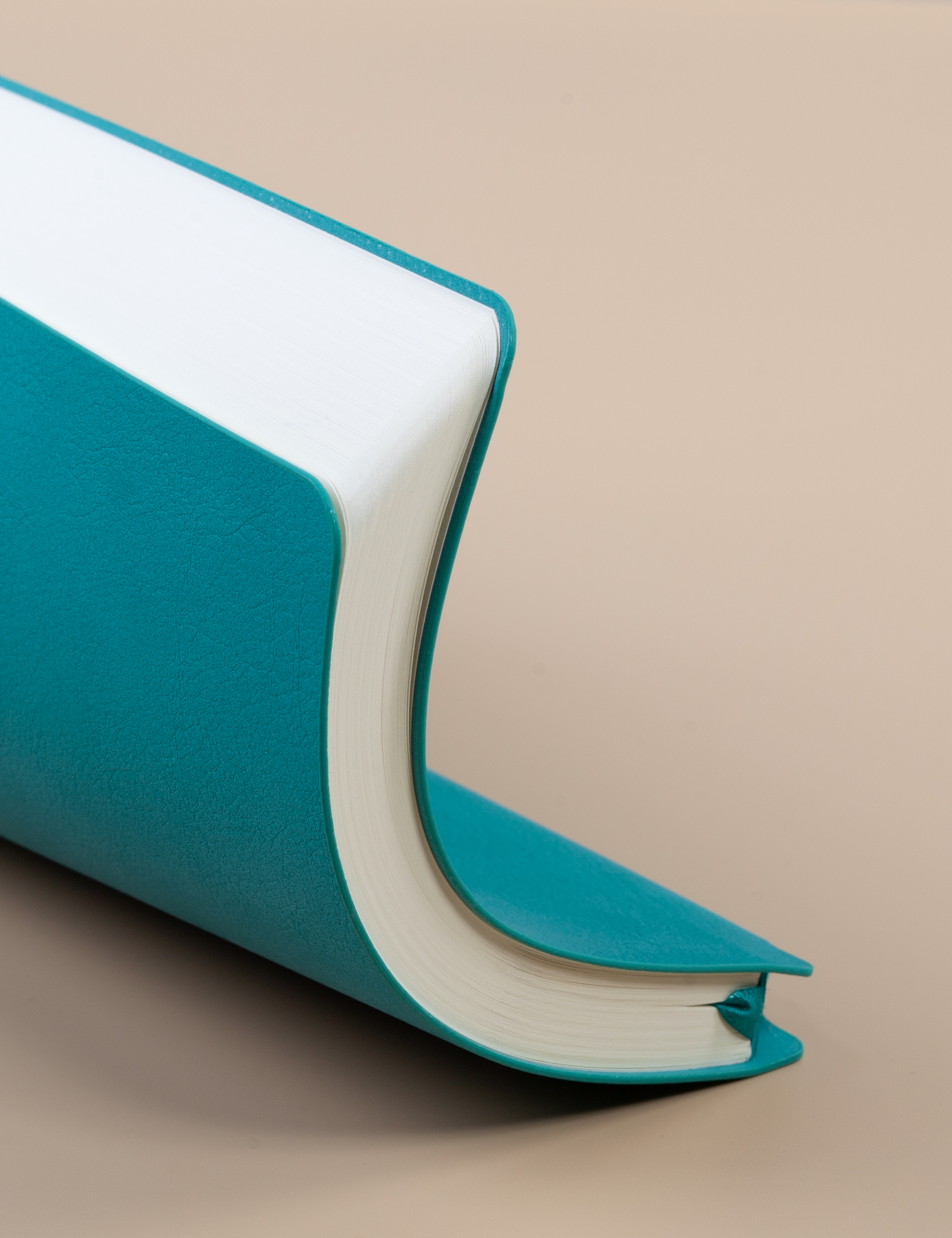 Сумка-рюкзак "Carry"-8