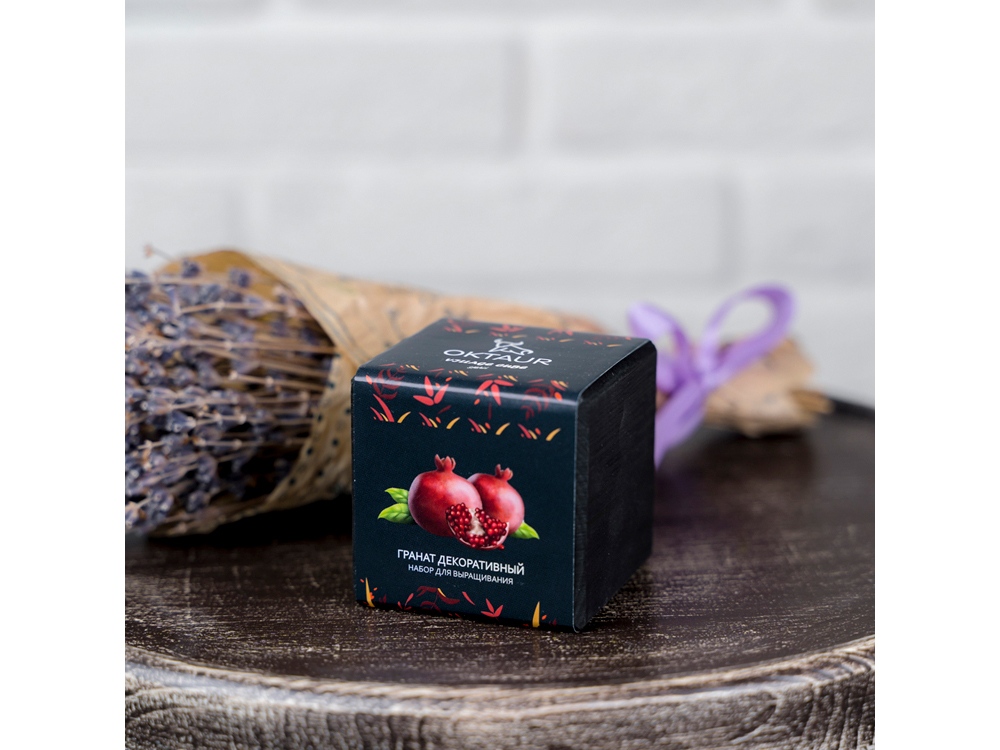 Набор для выращивания Small village cube Гранат комнатный-2