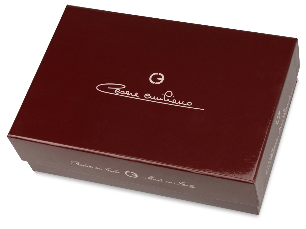 Ручка перьевая Cesare Emiliano в футляре, золотистый-7