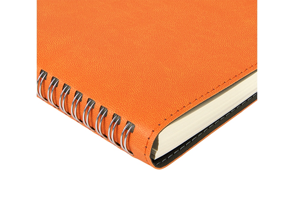 Ежедневник А5 Tintoretto, оранжевый-1