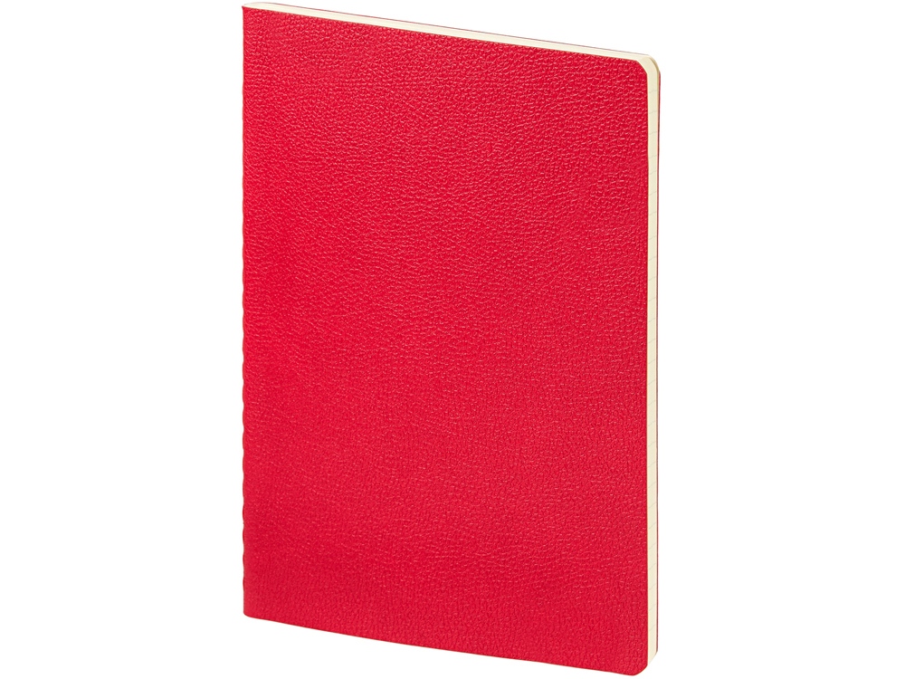 Бизнес-тетрадь А5 Megapolis Loft Flex 60 л., линейка, красный-0