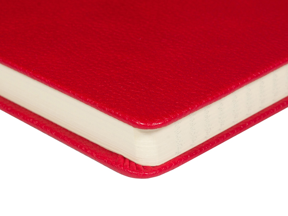 Ежедневник недатированный А5 Loft, красный-4