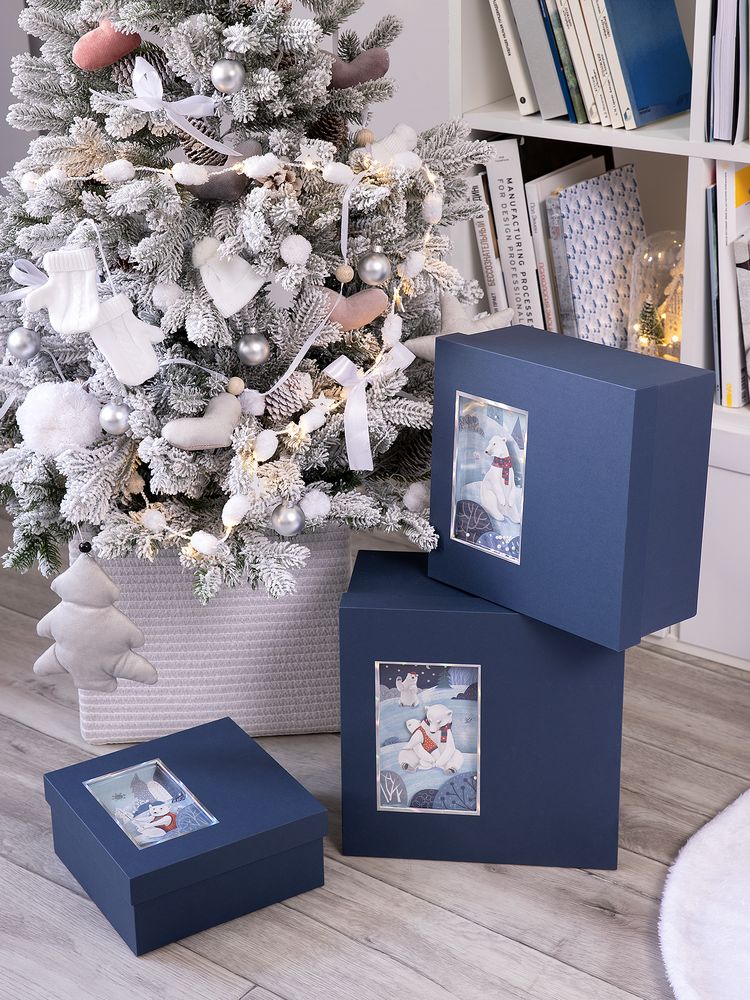 Коробка The Blue Bear, L-2