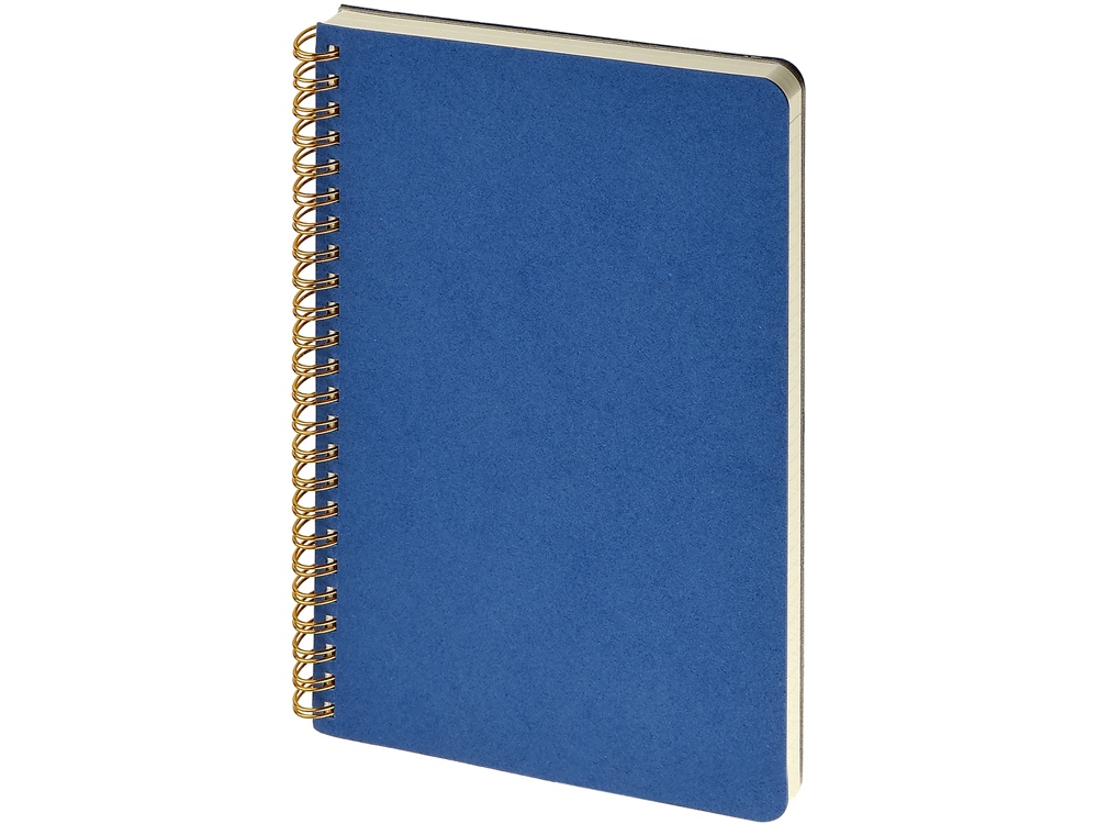 Бизнес тетрадь на гребне А5 Pragmatic, 60 листов в клетку, синий-0