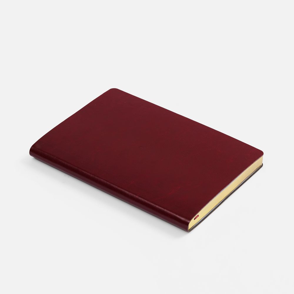 Ежедневник Nebraska Flex, недатированный, бордовый с золотистым-2