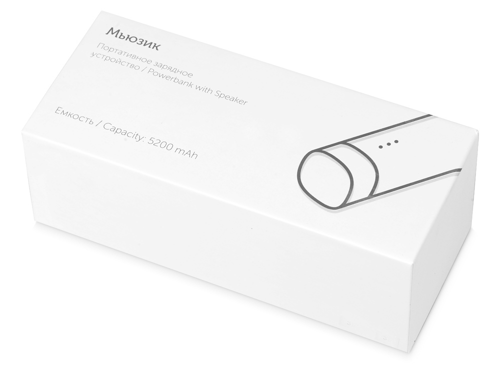 Портативное зарядное устройство Мьюзик, 5200 mAh, серебристый-10