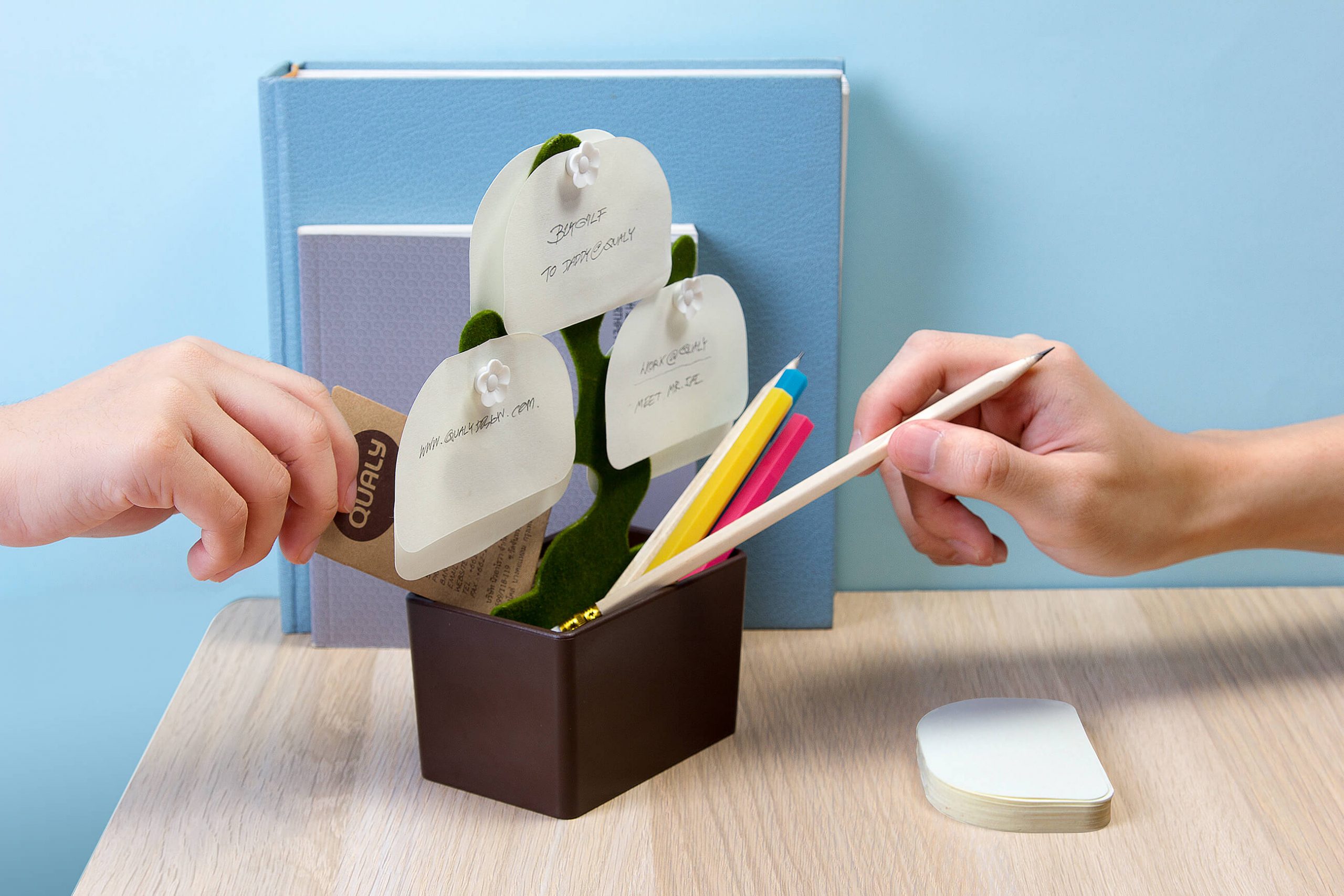 Органайзер настольный Bonsai , Зелёный-2