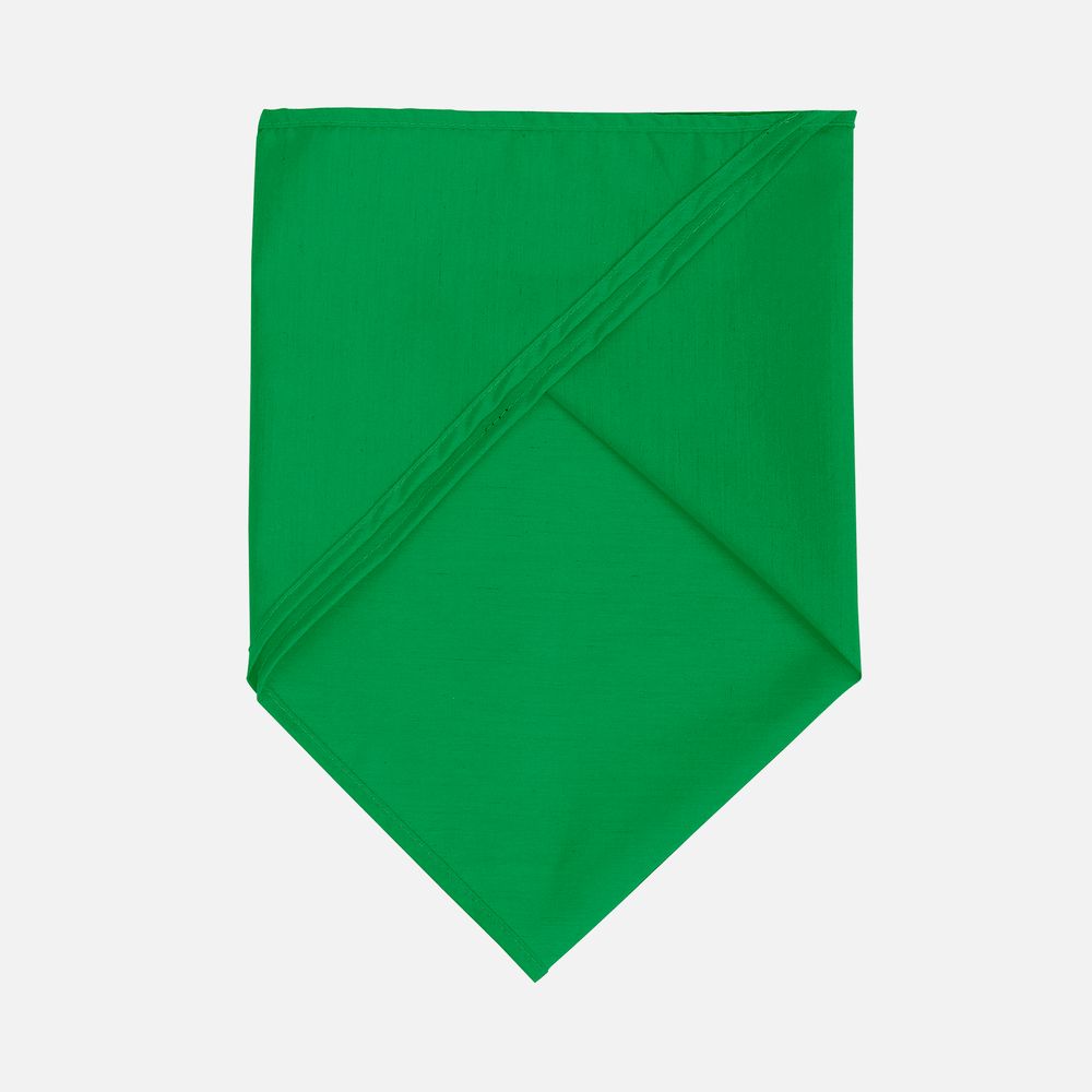 Шейный платок Bandana, ярко-зеленый-1