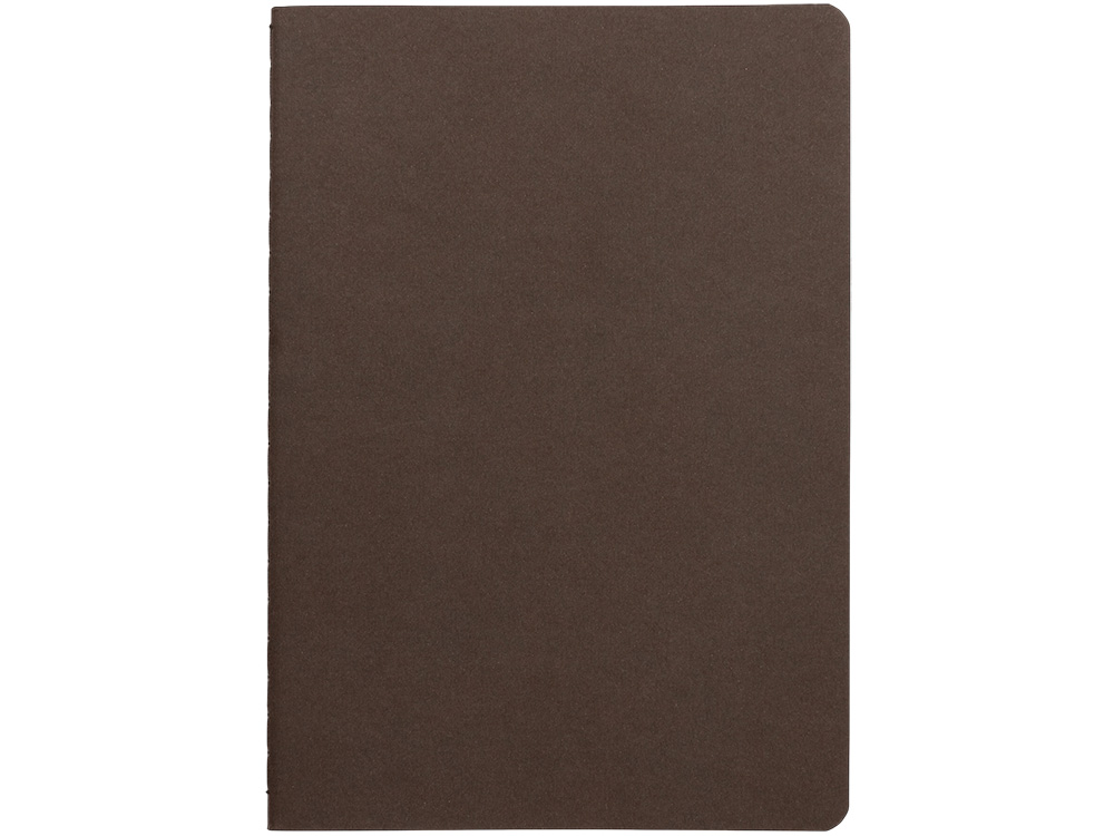 Бизнес тетрадь А5 Pragmatic, 40 листов в клетку, темно-коричневый-1