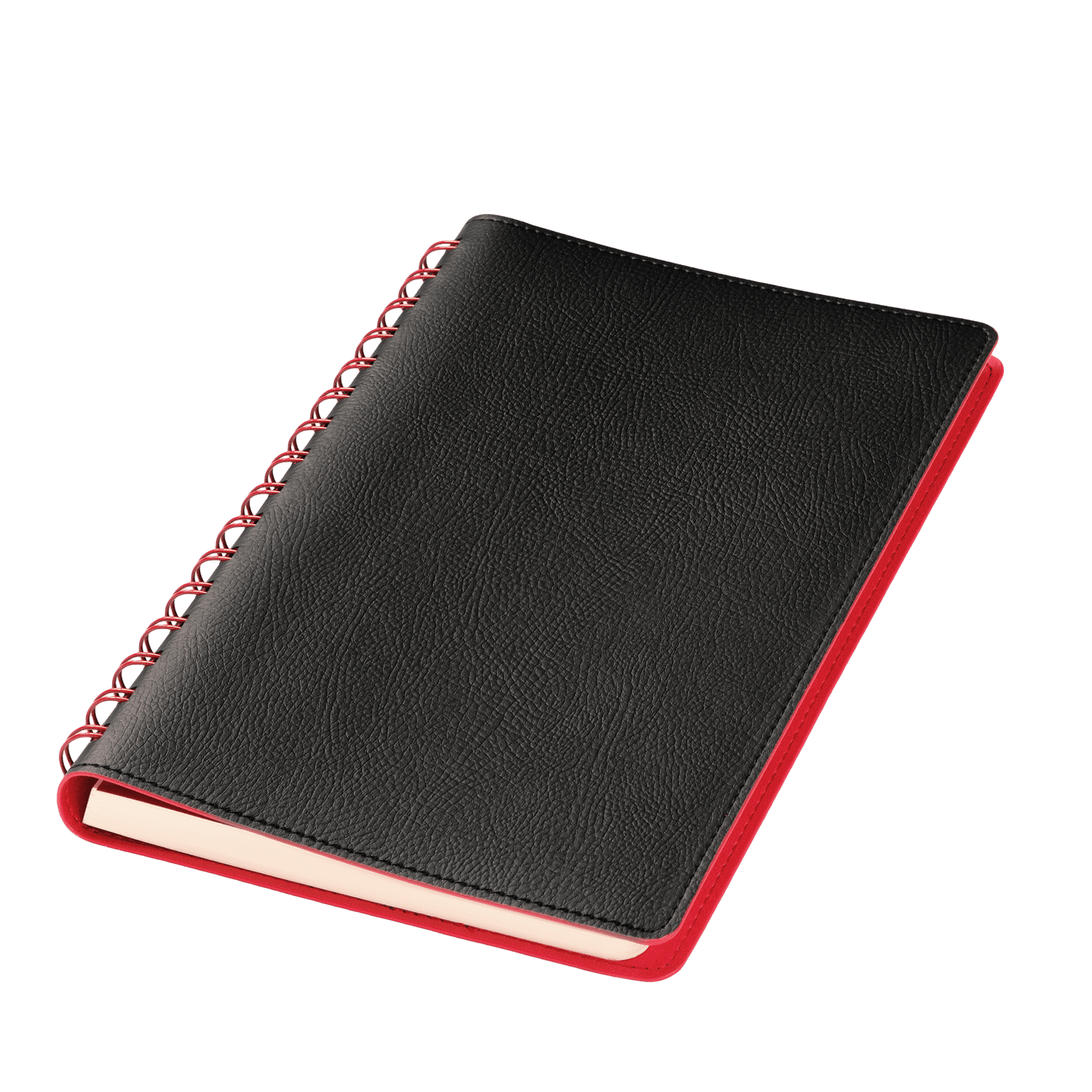 Ежедневник Vista недатированный, черный/красный-1