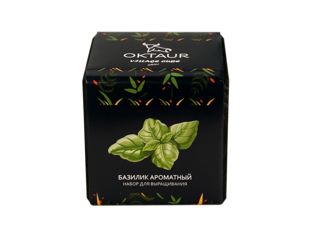 Набор для выращивания Small village cube Базилик ароматный-1
